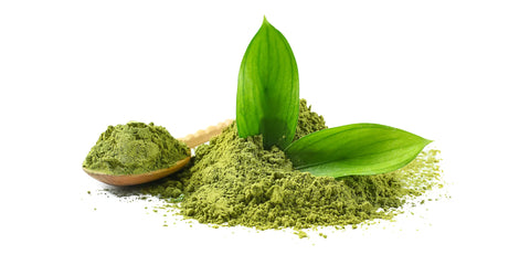 Matcha: Das grüne Wunder aus Japan White Leaf Nutrition